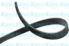 KAVO PARTS DMV-5546 V-Ribbed Belts